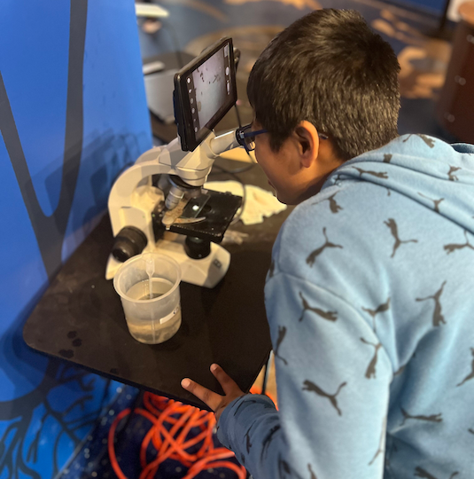 Boy researching at aquarium