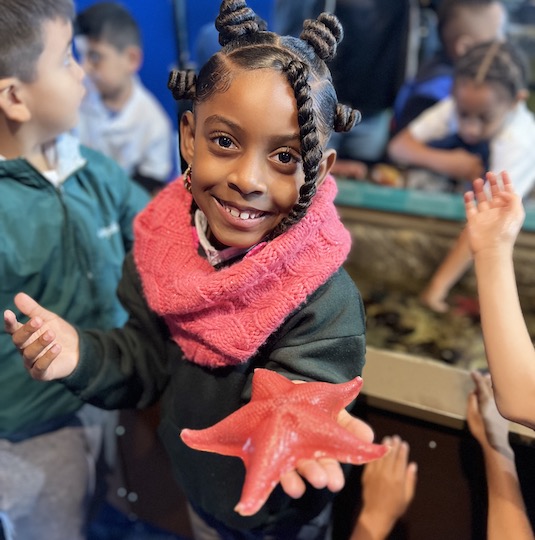 Little girl showing starfish